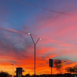 Meet your Posher, Bella